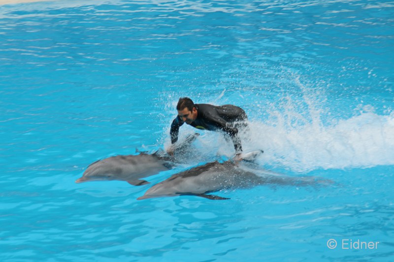 Loro_12_IMG_8217b_Gina