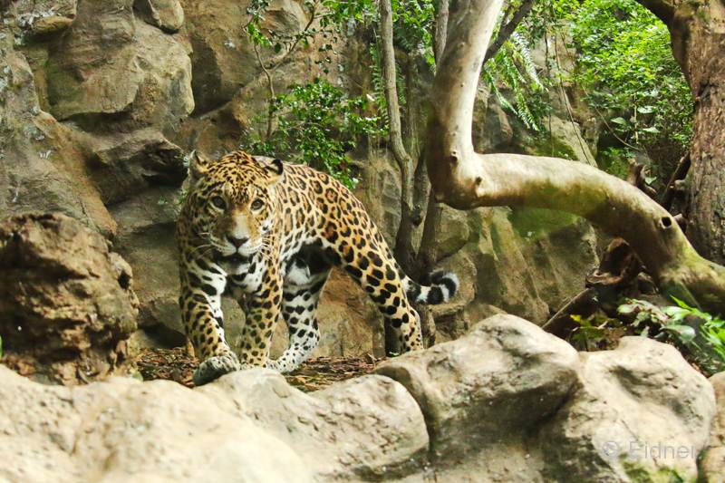 Loro_16_IMG_9243abs_Gina