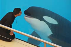 Loro_10_IMG_9541abs_Joki