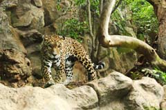 Loro_16_IMG_9243abs_Gina