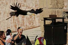 Jungle_02_IMG_6289_Gina_b