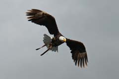 Jungle_03_IMG_5985ast_Gina