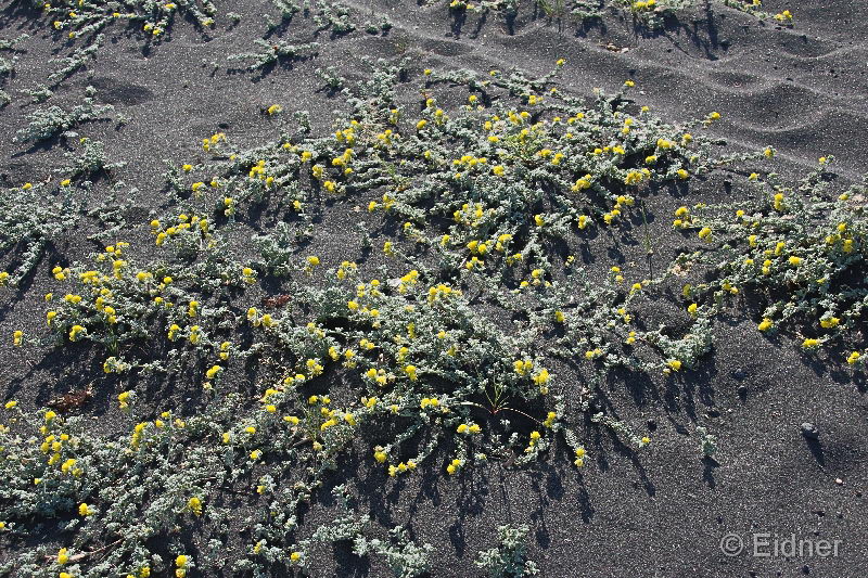 03_IMG_5754_Stromboli