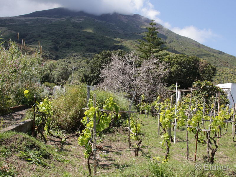 06_IMG_5756_Stromboli