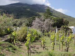 06_IMG_5756_Stromboli