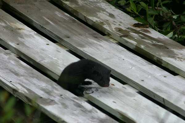 bild12.jpg