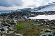 Norw_2002_087.jpg